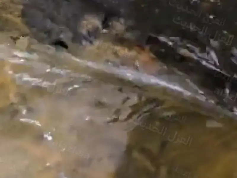 سطح نُزع عنه العزل القديم المتقشّر حتى الخرسانة قبل العزل الجديد