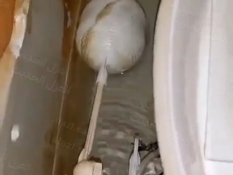 فحص العوامة داخل الخزان — الحالة التي صدر بها التقرير
