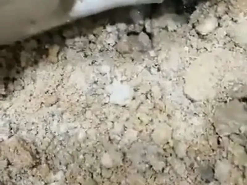 كاميرا فحص الصرف داخل ماسورة الحمام قبل أي تكسير