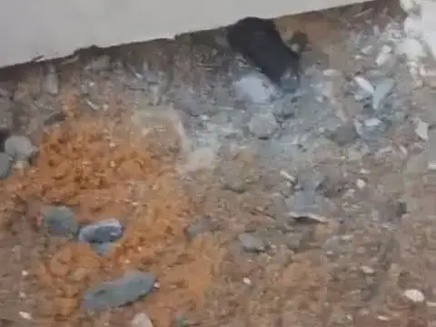 مشهد 1: موضع الحفر فوق مسار كابل الكهرباء